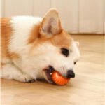 2 In 1 Simulated Interactive Hunting Cat Lover And Cat Mom Love Toy, Automatic Rolling Ball Toys Interactive Cat Lover And Cat Mom Love Toys Ball Fast Rolling In Pouch, Motion Activated Cat Lover And Cat Mom Love Toys For Bored Indoor Adult Cat Lover And Cat Mom Loves (Orange) - Image 7